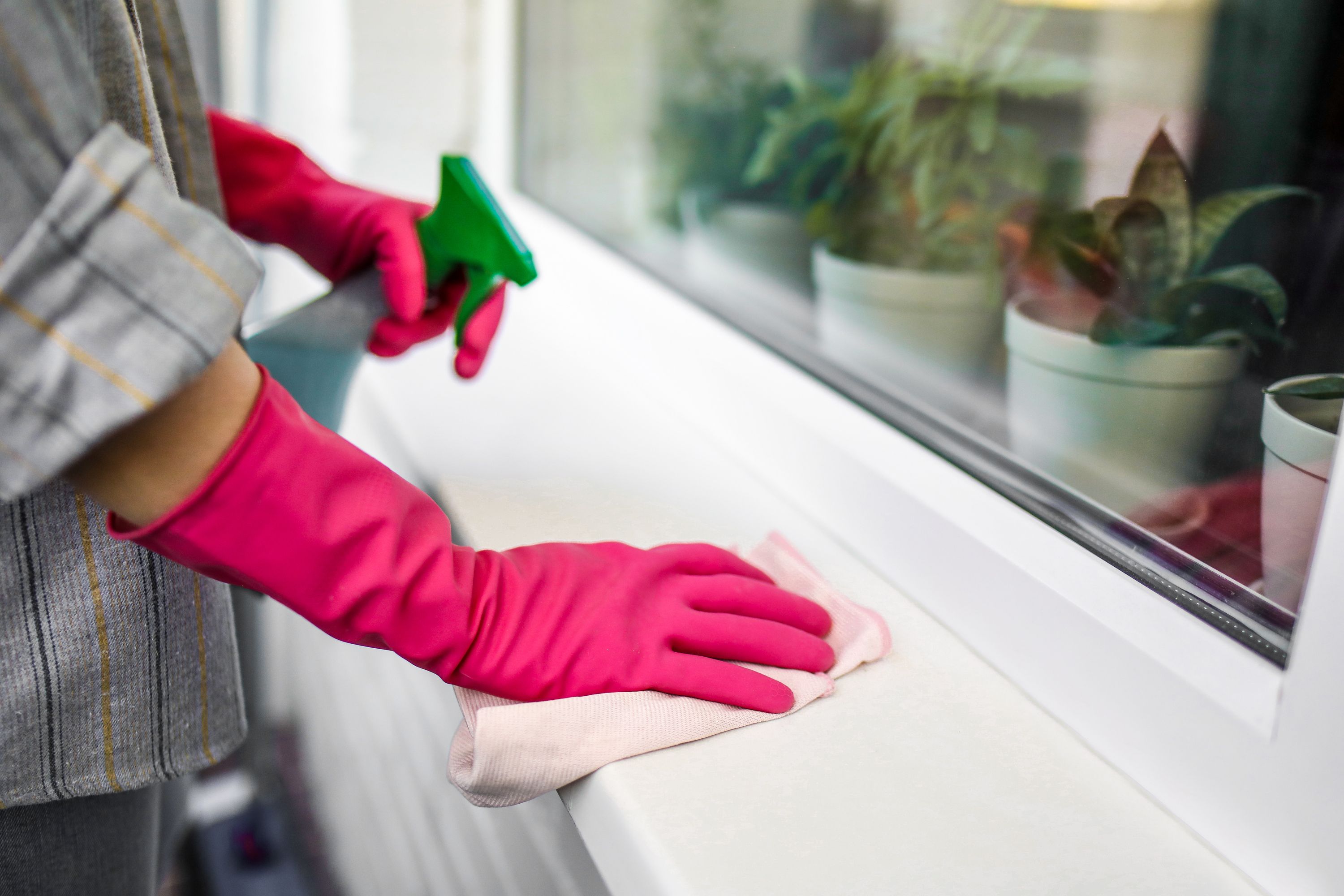 About Sagal Green Cleaning Services
