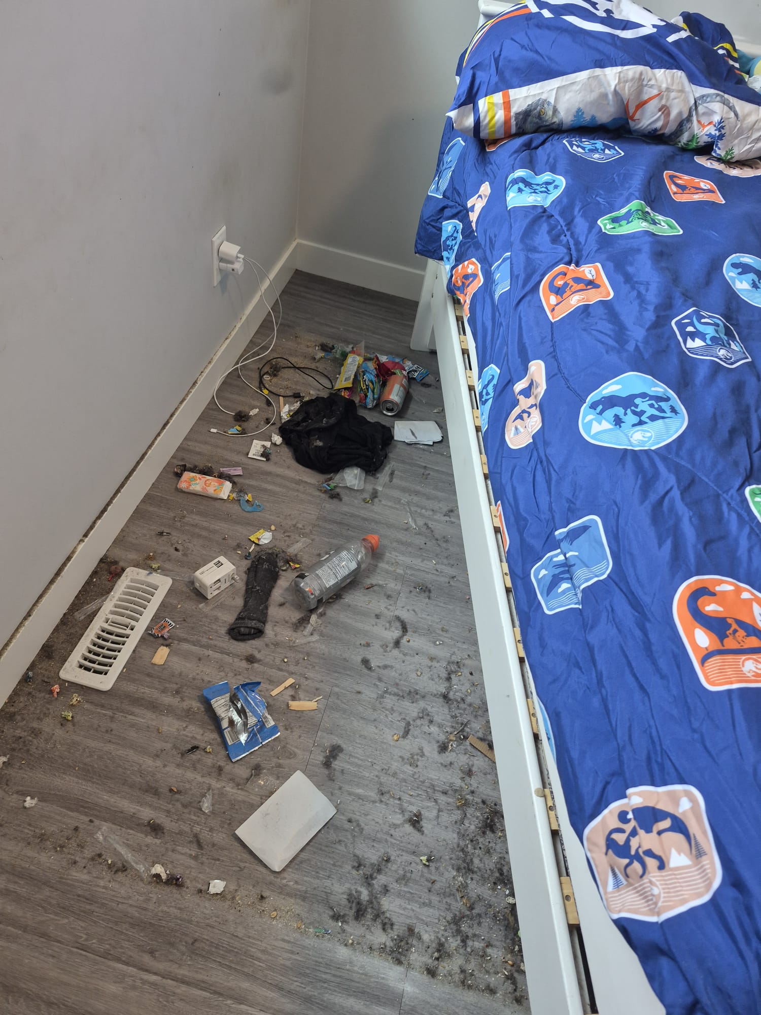 Bedroom Before Clean